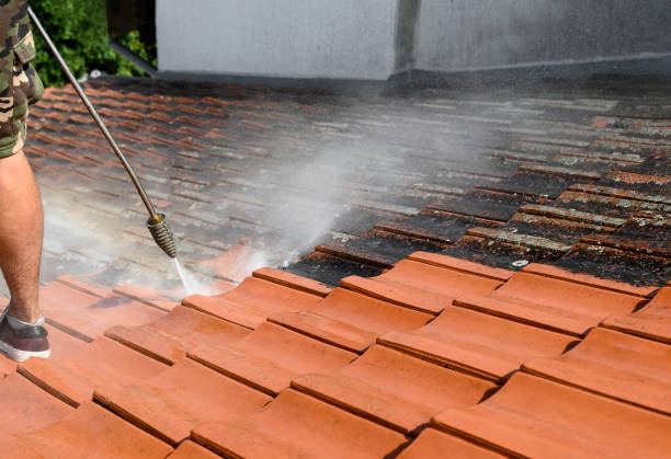 Best Exterior Home Cleaning  in Glasgow, KY